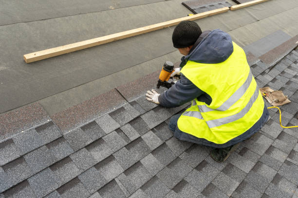 Roof Gutter Cleaning in Elkhorn City, KY