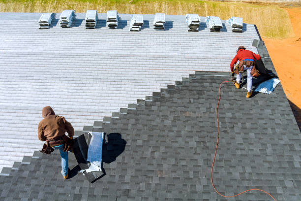 Best Roof Gutter Cleaning  in Elkhorn City, KY